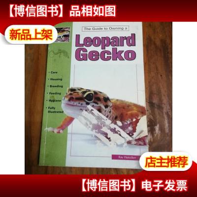 The Guide to Owning a Leopard Gecko/ Leopard Geckos: Identif