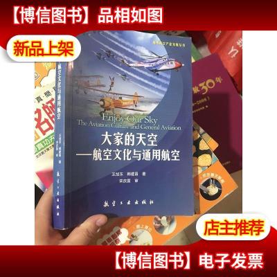 通用航空产业发展丛书·大家的天空:航空文化与通用航空