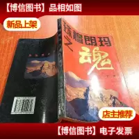 珠穆朗玛之魂