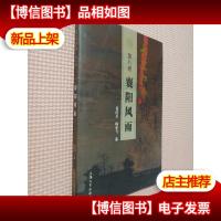 大宋江山 . 第八卷 : 襄阳风雨