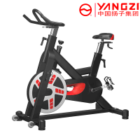 扬子(YANGZI)高端动感单车健身脚踏车YZ-XB07
