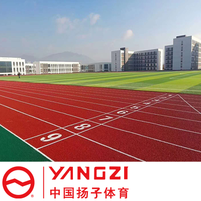扬子(YANGZI)塑胶跑道YZ-CD011