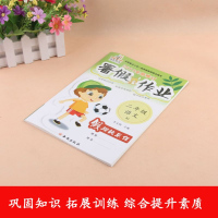 2019新版 暑假作业二年级语文人教版 小学生2升3年级暑假测试卷衔接同步训练预习复习暑期教辅小学辅导班资料作业假期