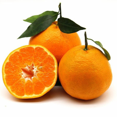 四川正宗春见耙耙柑粑粑柑5斤丑桔橘水果新鲜当季整箱橘子杷杷柑