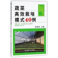 蔬菜高效栽培模式40例张爱民9787109240544中国农业出版社