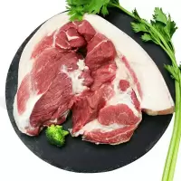 农家黑猪肉新鲜猪肉五花肉瘦肉现杀土猪肉猪腿肉散养沂蒙山黑猪肉 3斤前腿肉