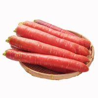 陕西沙地红萝卜新鲜蔬菜胡萝卜水果带泥沙农家自产生吃红心萝卜 带箱10斤家庭装