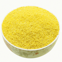 新米小黄米食用黄小米粮食小米粥五谷杂粮月子小米散装粗粮 5斤