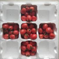 圣女果樱桃小番茄果农家小西红柿蔬菜新鲜水果 3斤小番茄