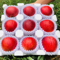 山西丑苹果冰糖心新鲜水果带箱当季应季整箱红富士粉面甜10斤 70mm(含)-75mm(不含)