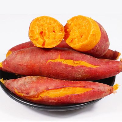 湛航 [当季]新鲜红薯蜜薯超甜糖心烟薯烤地瓜番薯紫薯板栗薯西瓜红薯