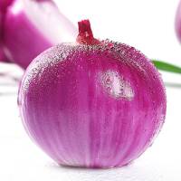 湛航 精品紫皮洋葱批发新鲜圆葱头农家自种紫红皮深紫色洋葱