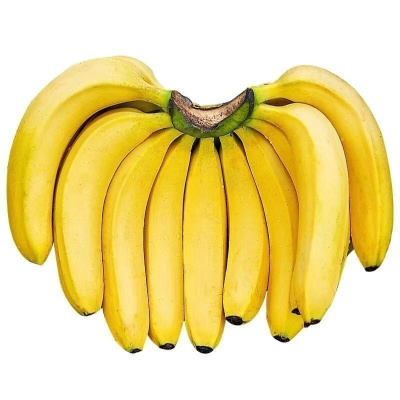 湛航 [云南高山甜糯香蕉]香蕉新鲜水果应季特产孕妇香蕉米蕉 高山甜蕉带箱10斤[推荐] 中蕉[实惠装]