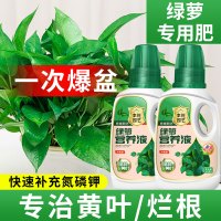 通用型水养花植物水培绿萝营业液专用花肥料家用营养剂