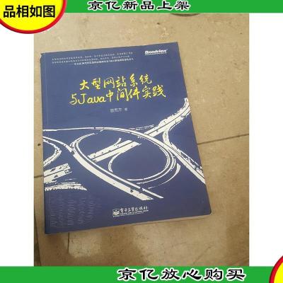 大型网站系统与Java中间件开发实践