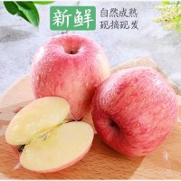 【精选】洛川红富士苹果2.5斤（70-80果） 2件发5斤 3件发带箱（9斤-9.5斤）