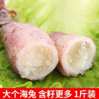 海兔鲜活笔管鱼即食满籽籽乌墨鱼仔带籽新鲜冷冻海鲜满3斤 邮
