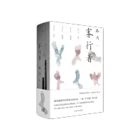 鹏辰正版雾行者