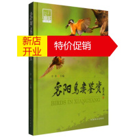鹏辰正版襄阳鸟类鉴赏 余涛 编