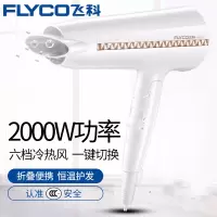 飞科(FLYCO)大功率吹风机家用发廊电吹风FH6228冷热风吹风筒可折叠