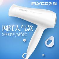 飞科(FLYCO)电吹风机家用理发店不易伤发大功率发廊寝室折叠冷热风筒