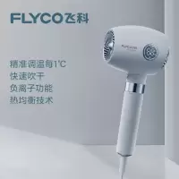 飞科(FLYCO)飞科吹风机家用宿舍用学生电吹风负离子吹风筒速干大风力恒温