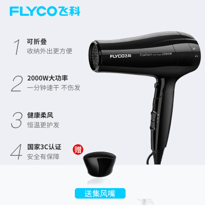 飞科(FLYCO)电吹风机家用可折叠便携式宿舍用学生吹风筒FH6251 白色