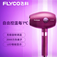 飞科(FLYCO)电吹风机家用大小功率宿舍用学生发廊发型师冷热风筒