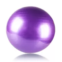 按摩球瑜伽球加厚防爆成人健身瑜珈颗粒儿童触感球宝宝 加厚光面紫色健身球送气泵按摩小球 65cm(身高160-165cm)