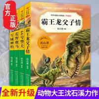 正版沈石溪动物小说全集全套4册中外动物小说精品7-8-10-14岁儿童故事三四五六年级中小学生课外阅读书籍必读66号