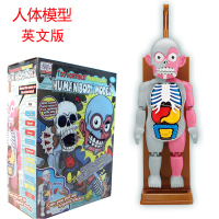 人体模型:英文版 -充电版|仿真人体模型器官拼装成人恐怖骷髅恶搞整蛊创意儿童玩具