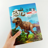 儿童卡片早教认知卡恐龙卡片100张撕不烂恐龙认知卡片立体侏罗纪