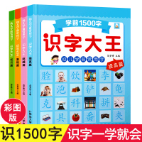 学前1500字全套4册看图识字大王学龄前3-5-6岁幼儿园儿童幼小衔接早教卡片全脑记忆大班升一年级教材宝宝认字书幼儿阅读