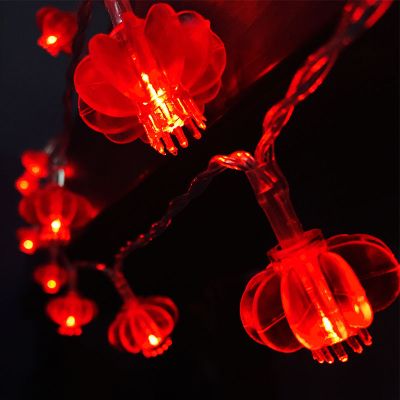 红灯笼 5米20灯(插电款) LED过年小红灯笼彩灯闪灯串灯装饰