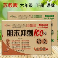 2019新版 期末冲刺100分六年级下册语文+数学2本配套苏教版SJ小学6六年级下册单元期末冲刺100分数学六年级