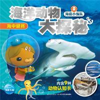 正版 海底小纵队 海洋动物大探秘 海中健将 0-3-4-5-6-8岁儿童绘本 幼儿园小学生课外书籍阅读 父母