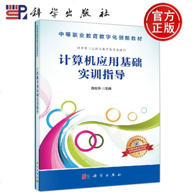 正版 计算机应用基础实训指导 施宏伟 大 大理科计算机 大学教材 -科学出版社