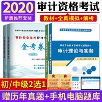 初级中级审计师教材2020全国注册执业专业技术资格考试用书审计理论与实务相关知识全套2020年真题试卷历年真题证20