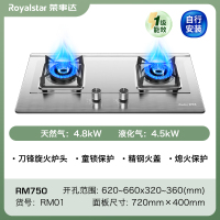 荣事达燃气灶双灶煤气灶家用嵌入式天然气台式液化气灶具 标配款4.8kW刀锋旋火不锈钢面板-天然气