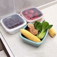 厨房双层果蔬沥水篮家用带盖洗水果蓝洗菜篮塑料保鲜盒冰箱收纳盒