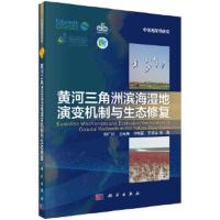 黄河三角洲滨海湿地演变机制与生态修复 9787030572424 正版 韩广轩 科学出版社