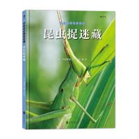 我们去找小昆虫 2 昆虫捉迷藏 9787550264489 正版 [日]冈岛秀治 著、 张曼 译 北京联合出版公司