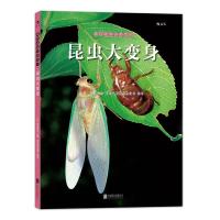 我们去找小昆虫 4 昆虫大变身 9787550264458 正版 [日]冈岛秀治 北京联合出版公司