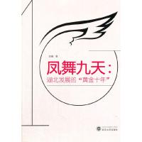 凤舞九天 湖北发展的黄金十年 9787307127340 正版 邹薇 武汉大学出版社