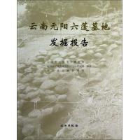 云南元阳六蓬墓地发掘报告 9787501035335 正版 云南省文物考古研究所