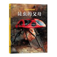 我们去找小昆虫 5 昆虫的父母 9787550264465 正版 [日]冈岛秀治 北京联合出版公司