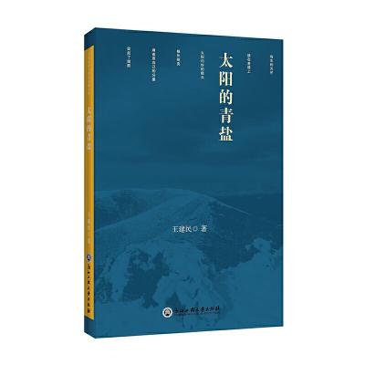 太阳的青盐 9787517828983 正版 王建民 浙江工商大学出版社