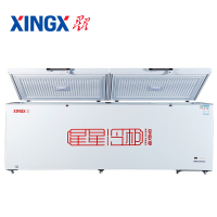 星星（XINGX）BD/BC-956ND 深冷低温双门商用冰柜大容量卧式速冻冷柜顶盖门冷藏冷冻转换柜超市雪柜