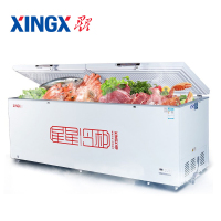 星星（XINGX）BD/BC-518ND 518升 -29度深冷低温商用冰柜大容量卧式冷柜顶盖门冷藏冷冻转换柜超市雪柜
