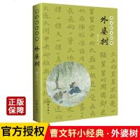 曹文轩小经典外婆树 教育部统编语文教材拓展延伸阅读小学生四五六年级课外推荐阅读书籍现当代文学散文短篇小说作家出版社